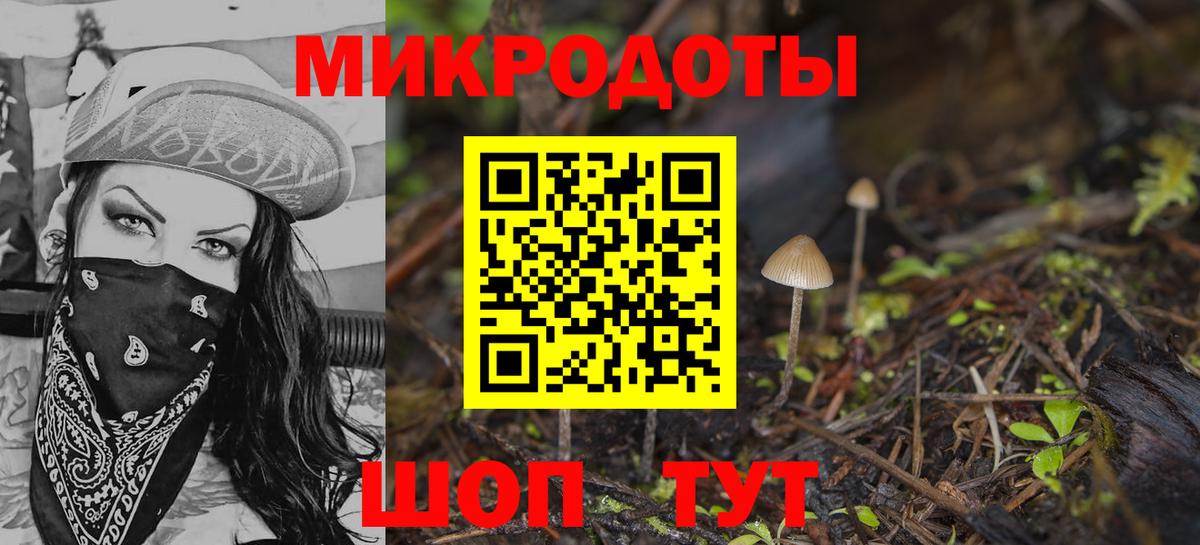 Псилоцибиновые грибы мицелий Фрязино